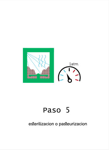 Paso-5